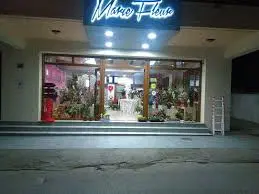 ΑΝΘΟΠΩΛΕΙΟ MARIE FLEUR ΑΦΑΝΤΟΥ ΡΟΔΟΣ ΔΩΔΕΚΑΝΗΣΑ ΜΑΛΩΝΑ ΜΑΡΙΑ
