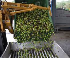 ΕΛΑΙΟΤΡΙΒΕΙΟ ΕΜΠΟΡΙΟ ΛΑΔΙΟΥ ΠΑΡΑΓΩΓΗ ΦΙΛΙΑΤΡΑ ΜΕΣΣΗΝΙΑ ΠΑΝΑΓΙΩΤΟΠΟΥΛΟΣ ΝΙΚΟΛΑΟΣ