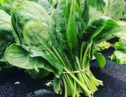 ΑΓΡΟΤΙΚΑ ΠΡΟΪΟΝΤΑ ΛΕΧΑΙΝΑ ΗΛΕΙΑ ΠΕΤΡΟΠΟΥΛΟΣ ΠΑΝΤΕΛΕΗΜΩΝ ΑΕ