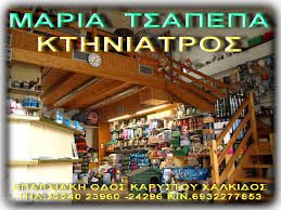 ΚΤΗΝΙΑΤΡΟΣ ΚΤΗΝΙΑΤΡΕΙΟ ANIMAL PLANET ΚΑΡΥΣΤΟΣ ΕΥΒΟΙΑ ΤΣΑΠΕΠΑ ΜΑΡΙΑ