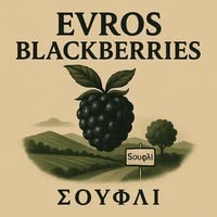 ΒΙΟΛΟΓΙΚΑ ΠΡΟΪΟΝΤΑ ΦΡΕΣΚΑ ΜΑΥΡΑ ΒΑΤΟΜΟΥΡΑ EVROS BLACKBERRIES ΣΟΥΦΛΙ ΕΒΡΟΣ ΠΑΤΕΛΗΣ ΚΩΝΣΤΑΝΤΙΝΟΣ