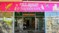 PET SHOP Ο ΠΑΡΑΔΕΙΣΟΣ ΣΠΑΤΑ ΑΤΤΙΚΗ ΖΗΛΕΜΜΕΝΟΣ ΓΕΩΡΓΙΟΣ