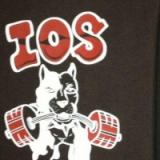 ΓΥΜΝΑΣΤΗΡΙΟ ΧΩΡΑ ΙΟΣ ΣΤΑΥΡΑΚΗ ΔΗΜΗΤΡΑ