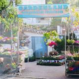 ΦΥΤΩΡΙΟ GARDEN LAND ΚΑΣΣΙΟΠΗ ΚΕΡΚΥΡΑ ΛΑΜΠΡΟΣ ΛΕΩΝΙΔΑΣ