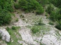 ΔΑΣΟΛΟΓΟΣ ΓΡΑΦΕΙΟ ΔΑΣΙΚΩΝ ΠΕΡΙΒΑΛΛΟΝΤΙΚΩΝ ΜΕΛΕΤΩΝ ΚΑΡΔΙΤΣΑ ΝΑΣΙΑΚΟΣ ΣΩΤΗΡΙΟΣ