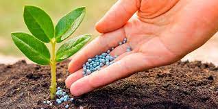 ΓΕΩΡΓΙΚΑ ΕΙΔΗ ΦΥΤΟΦΑΡΜΑΚΑ ΔΑΜΑΣΙ ΤΥΡΝΑΒΟΣ ΛΑΡΙΣΑ ΔΕΛΗΧΑΣ ΠΑΝΑΓΙΩΤΗΣ